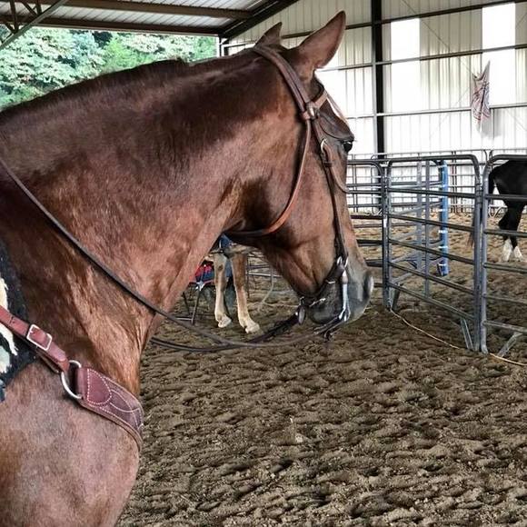 Meet your Posher, Kelly - Picture 1 of 1